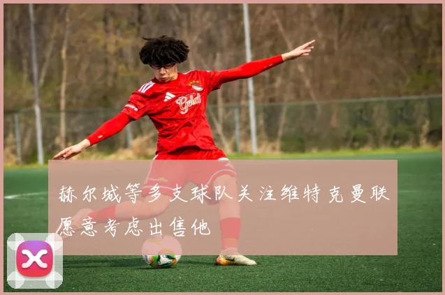 赫尔城等多支球队关注维特克曼联愿意考虑出售他