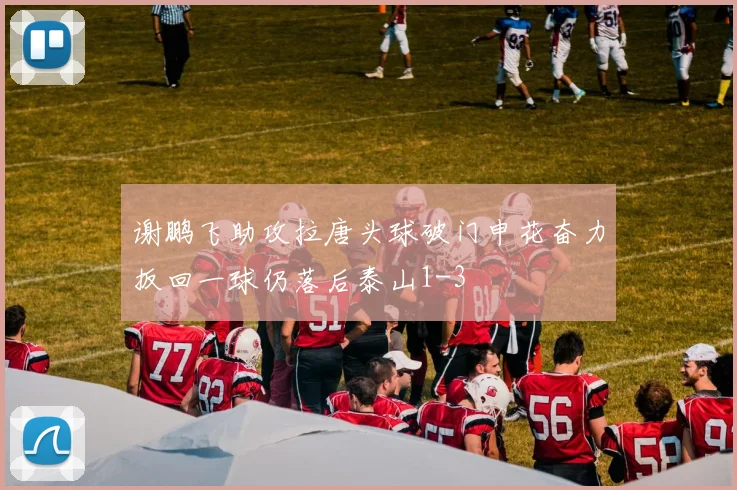 谢鹏飞助攻拉唐头球破门申花奋力扳回一球仍落后泰山1-3